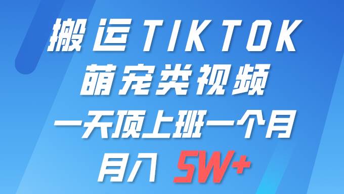 一键搬运TIKTOK萌宠类视频 一部手机即可操作 所有平台均可发布 轻松月入5W+-zsff