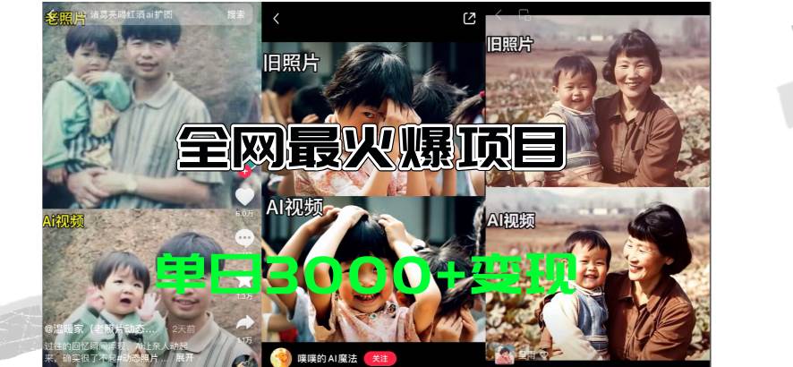 全网爆火的AI让老照片动起来教程，蹭热点日赚3000+，内含免费工具一键…-zsff